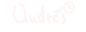 LOGO ANDRES CARNE DE RES