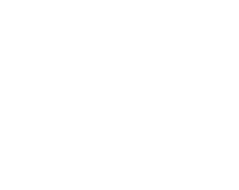 logo-fla